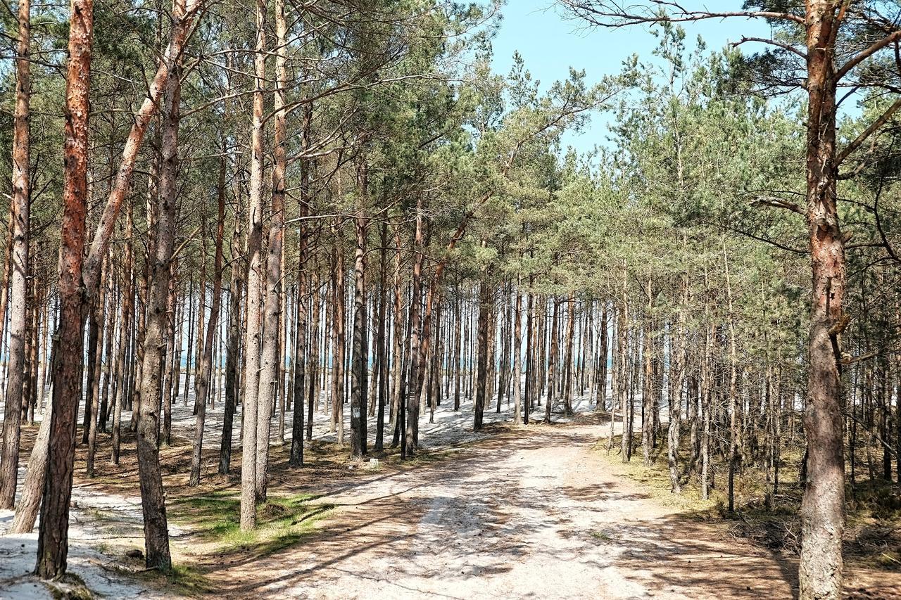 Dwor W Bychowie Гневино Экстерьер фото